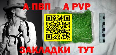 стаф Шелехов