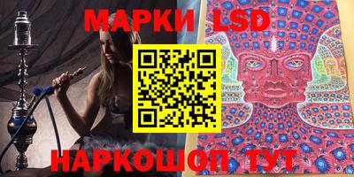 стаф Шелехов