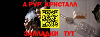 стаф Шелехов