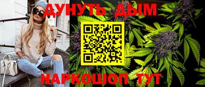 стаф Шелехов