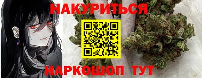 стаф Шелехов