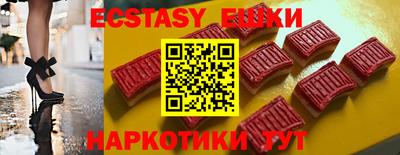 стаф Шелехов