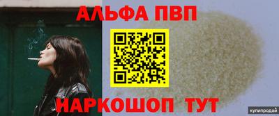 стаф Шелехов
