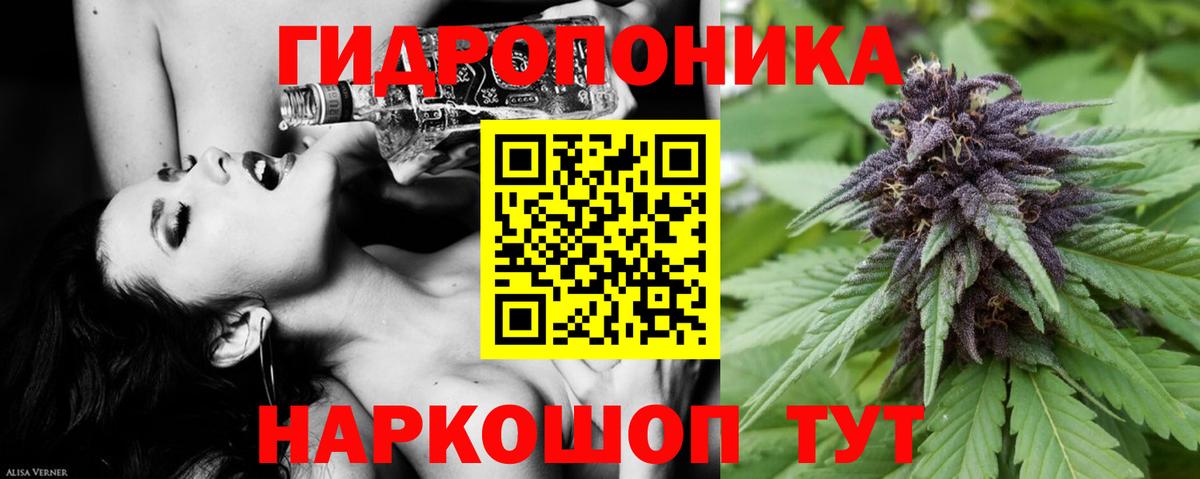 Конопля гибрид Богородицк